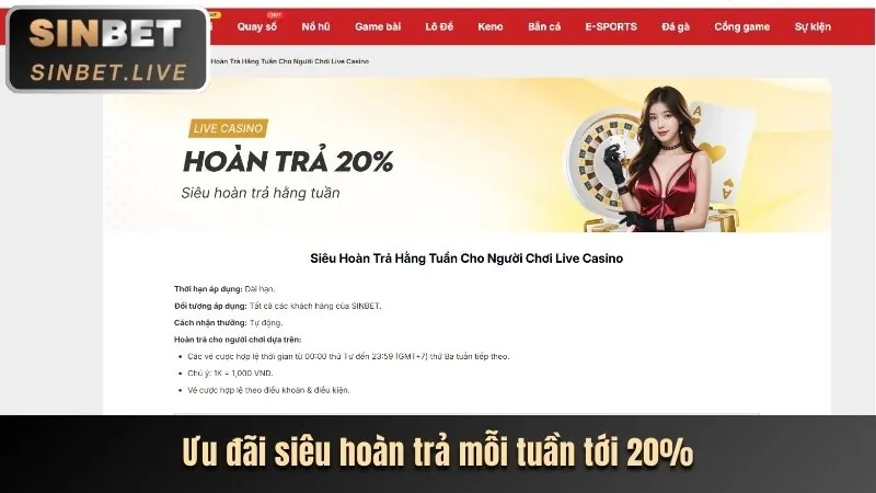 Nền tảng Rikbet Casino uy tín